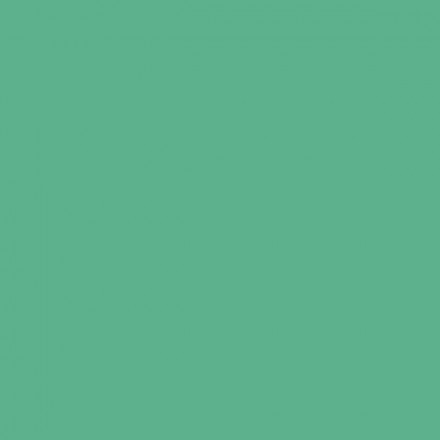 Color NCS  - S-2040-G
