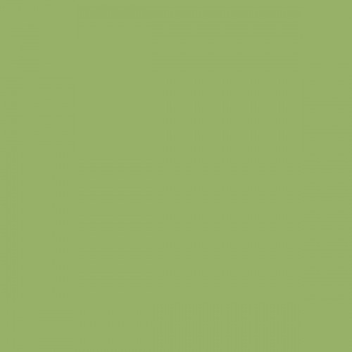 Color NCS  - S-2040-G40Y
