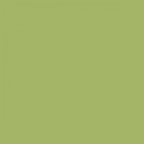 Color NCS  - S-2040-G50Y