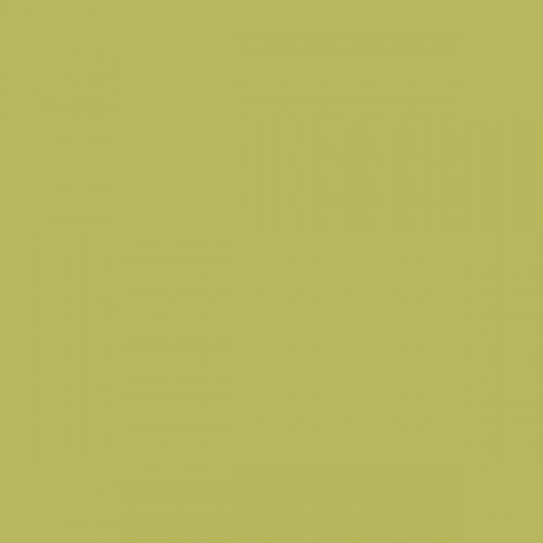 Color NCS  - S-2040-G70Y