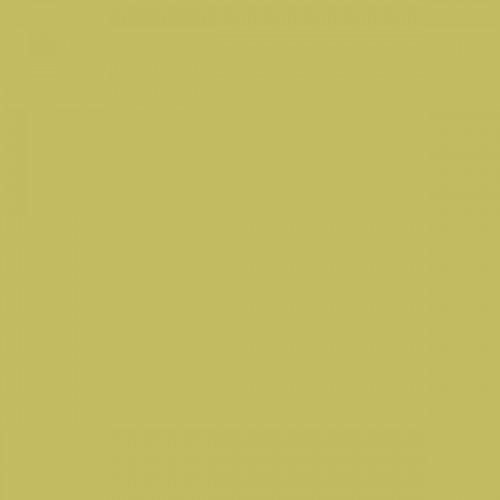 Color NCS  - S-2040-G80Y