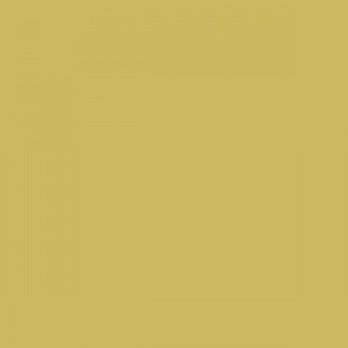Color NCS  - S-2040-G90Y