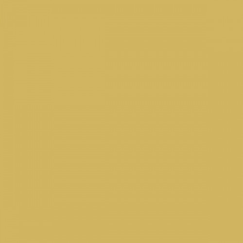 Color NCS  - S-2040-Y