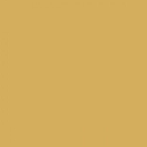 Color NCS  - S-2040-Y10R