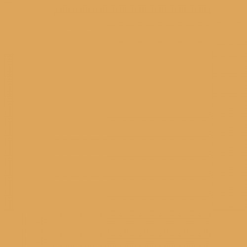 Color NCS  - S-2040-Y20R