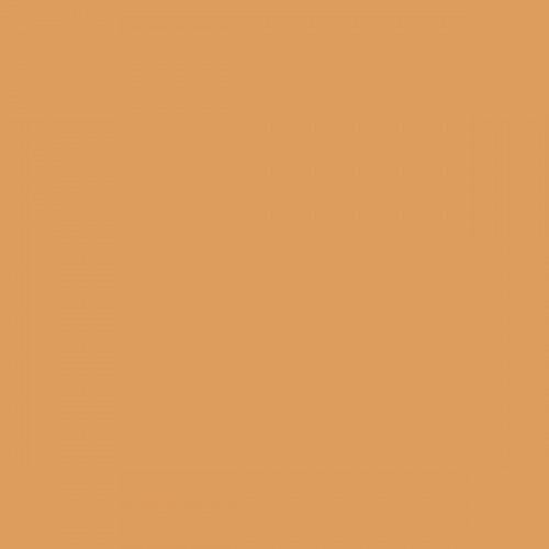 Color NCS  - S-2040-Y30R