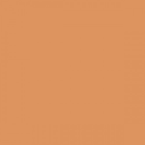 Color NCS  - S-2040-Y40R