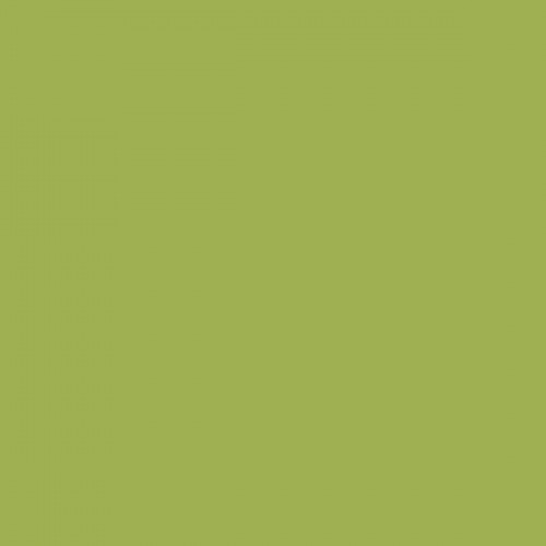 Color NCS  - S-2050-G50Y