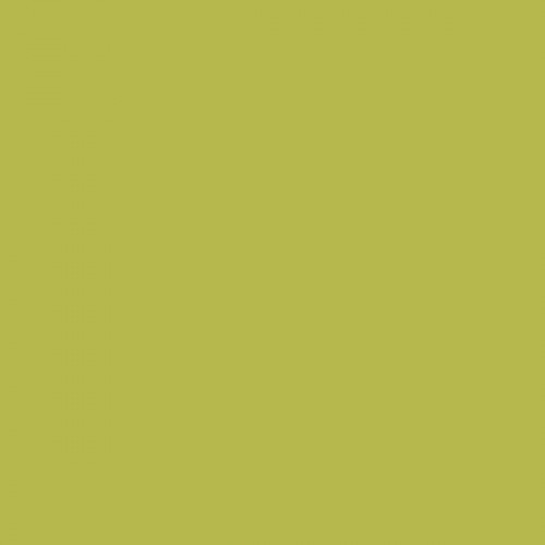 Color NCS  - S-2050-G70Y