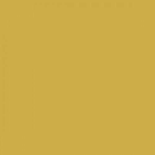 Color NCS - S-2050-Y Color NCS - S-2050-Y