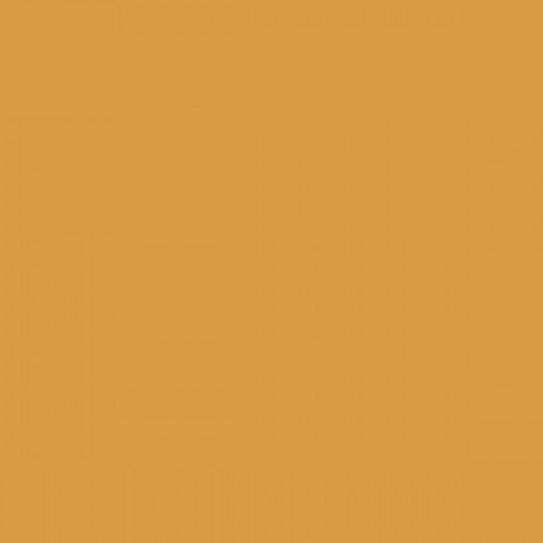 Color NCS  - S-2050-Y20R