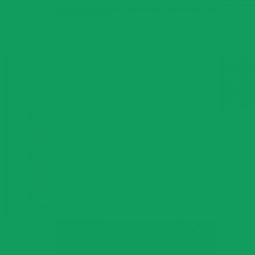 Color NCS  - S-2060-G10Y