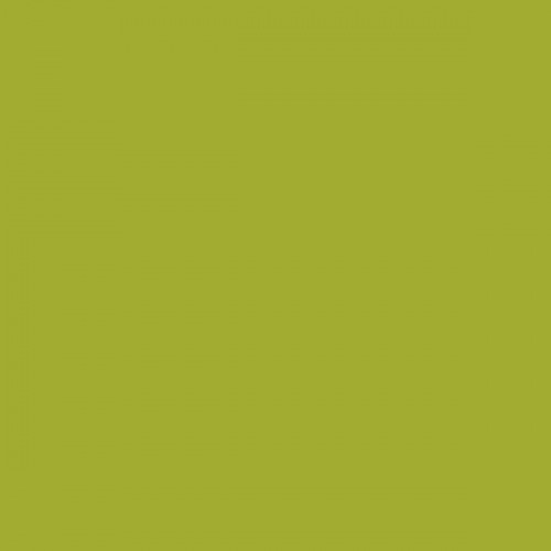Color NCS  - S-2060-G60Y