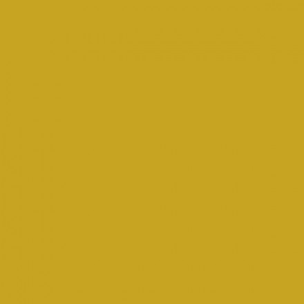 Color NCS  - S-2060-Y