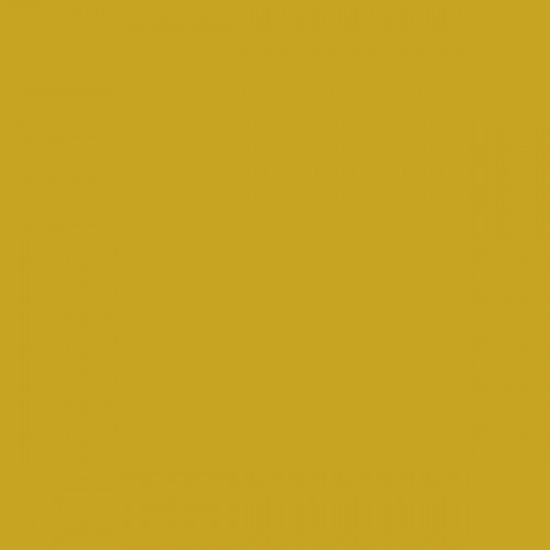 Color NCS  - S-2060-Y