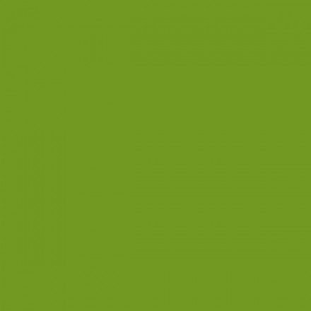 Color NCS  - S-2070-G40Y