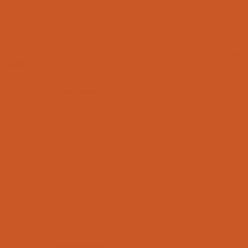 Color NCS  - S-2070-Y60R