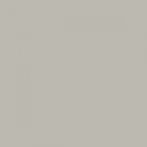 Color NCS  - S-2502-Y