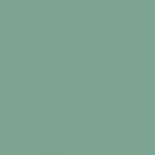 Color NCS  - S-3020-G