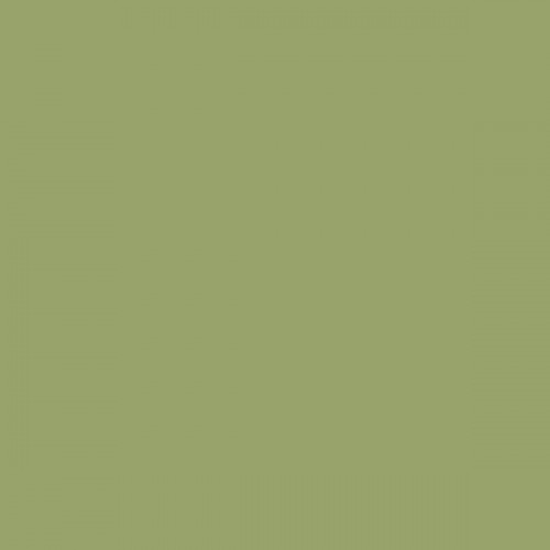 Color NCS  - S-3030-G50Y