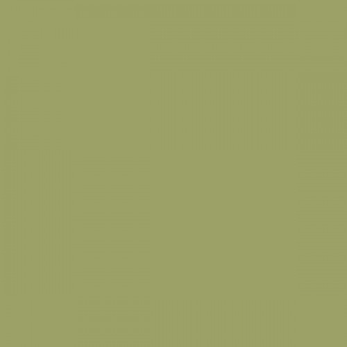 Color NCS  - S-3030-G60Y