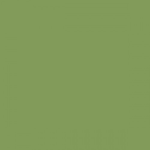 Color NCS  - S-3040-G40Y