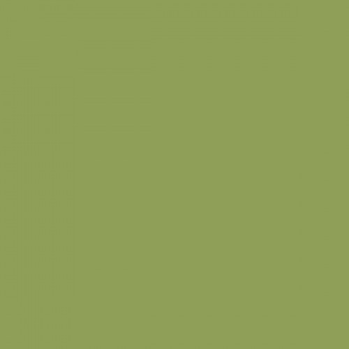 Color NCS  - S-3040-G50Y