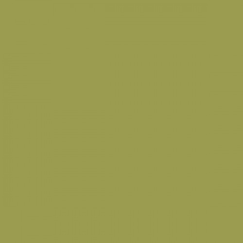 Color NCS  - S-3040-G70Y