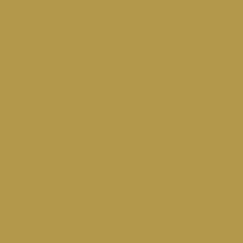Color NCS  - S-3040-Y
