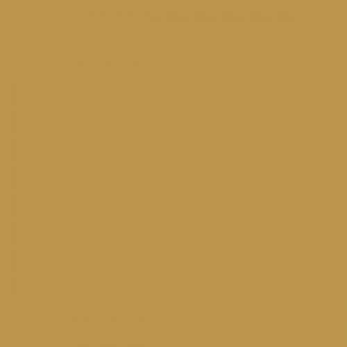 Color NCS  - S-3040-Y10R
