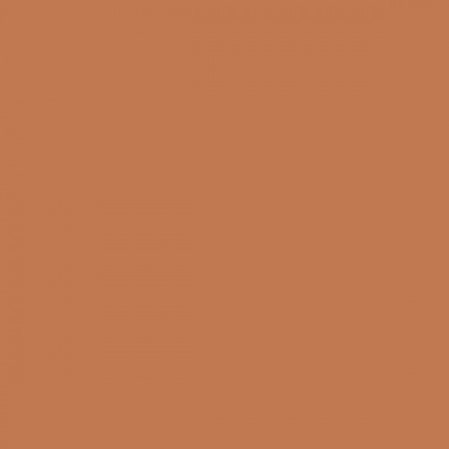 Color NCS  - S-3040-Y50R