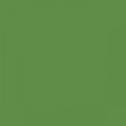 Color NCS  - S-3050-G30Y