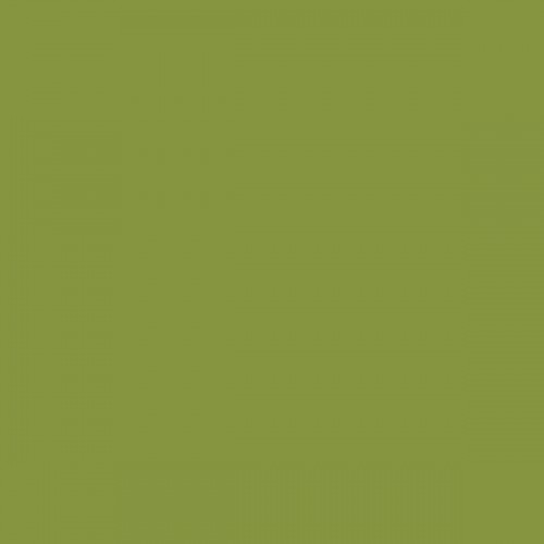 Color NCS  - S-3050-G50Y