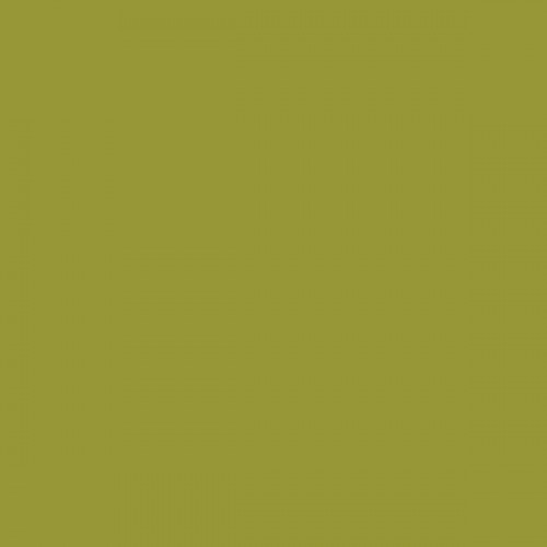 Color NCS  - S-3050-G70Y