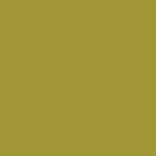 Color NCS  - S-3050-G80Y