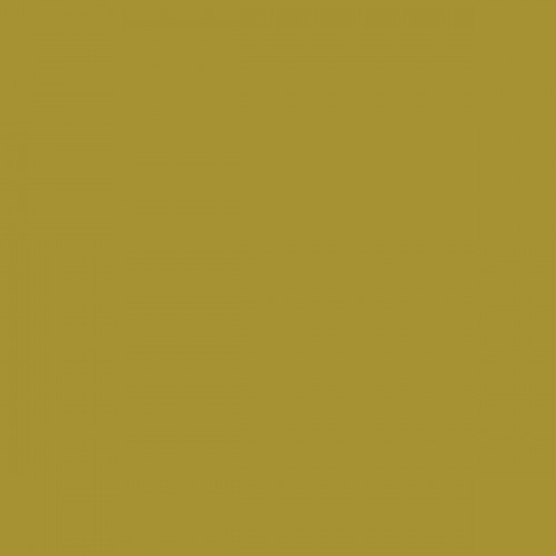 Color NCS  - S-3050-G90Y