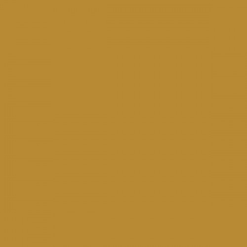 Color NCS  - S-3050-Y10R