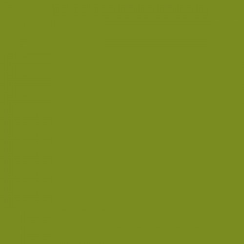 Color NCS  - S-3060-G50Y