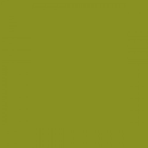 Color NCS  - S-3060-G60Y