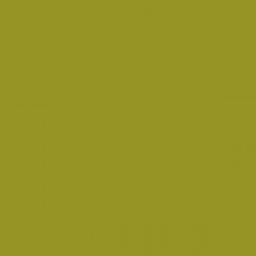 Color NCS  - S-3060-G70Y