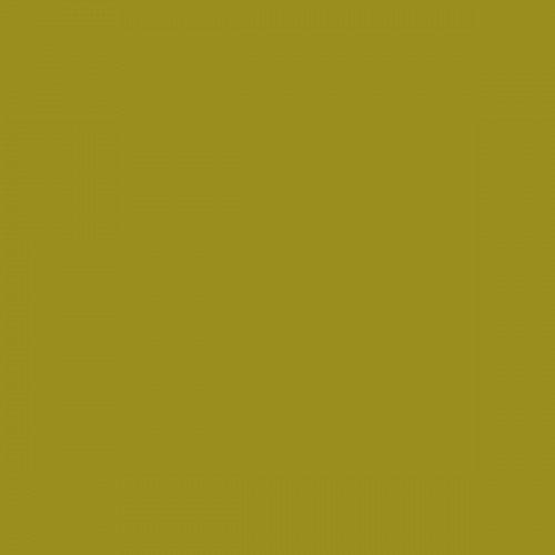 Color NCS  - S-3060-G80Y