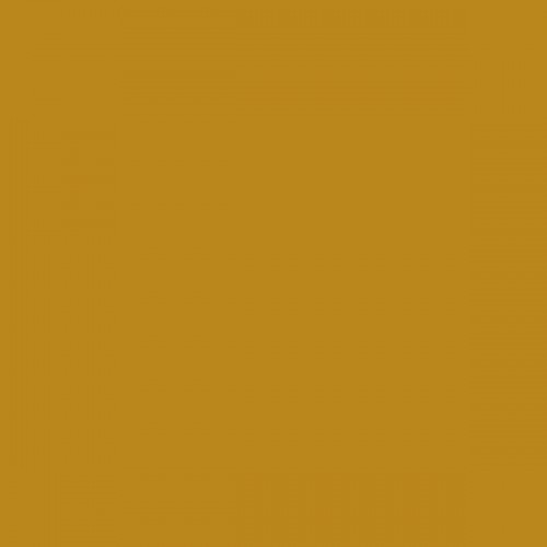 Color NCS  - S-3060-Y10R