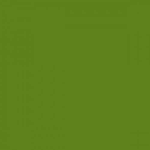 Color NCS  - S-3065-G40Y