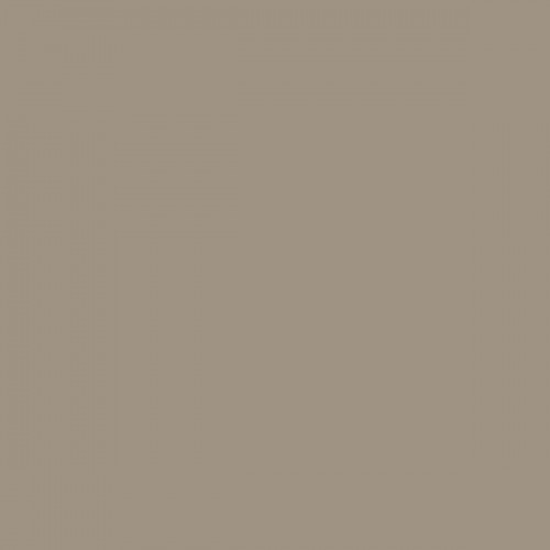 Color NCS  - S-4005-Y20R