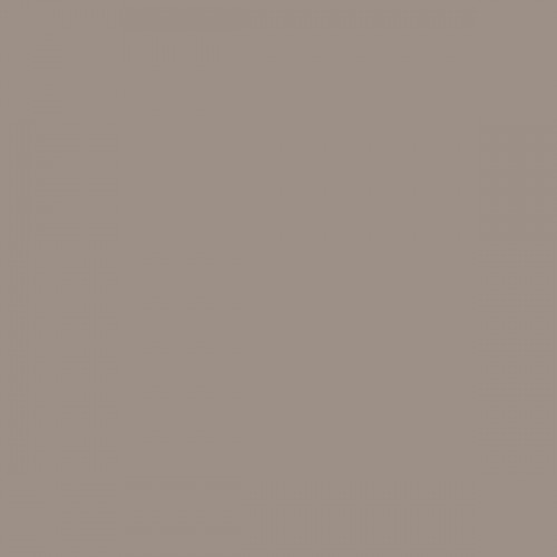 Color NCS  - S-4005-Y50R