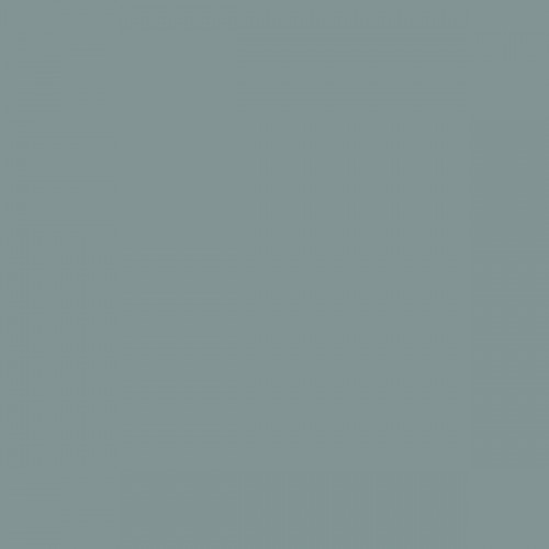 Color NCS  - S-4010-B50G