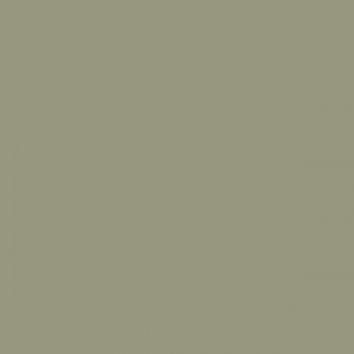 Color NCS  - S-4010-G70Y