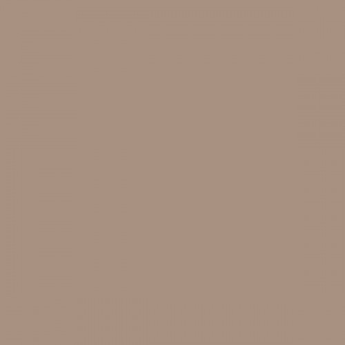 Color NCS  - S-4010-Y50R