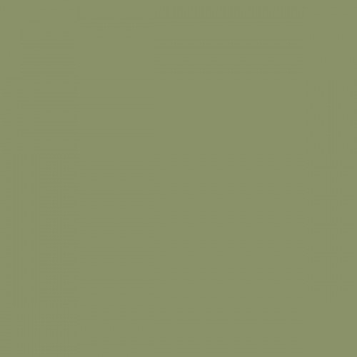Color NCS  - S-4020-G50Y