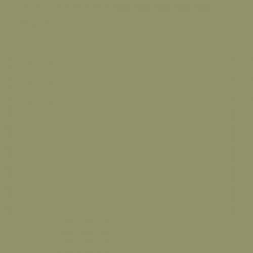 Color NCS  - S-4020-G70Y